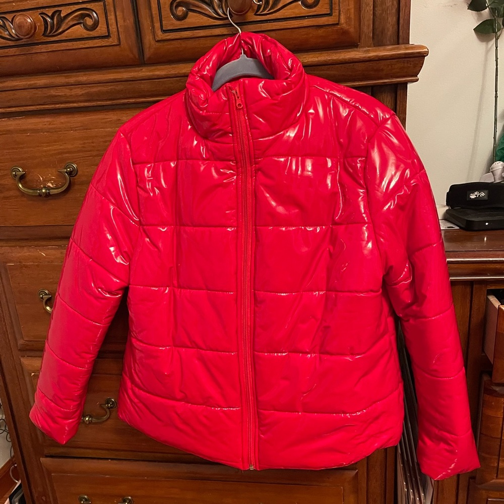 Beautiful red shiny coat